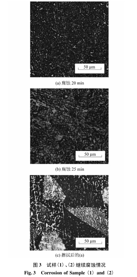 試樣(1)、(2)繼續腐蝕情況