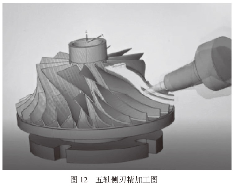 1661845910309469.jpg t12.jpg