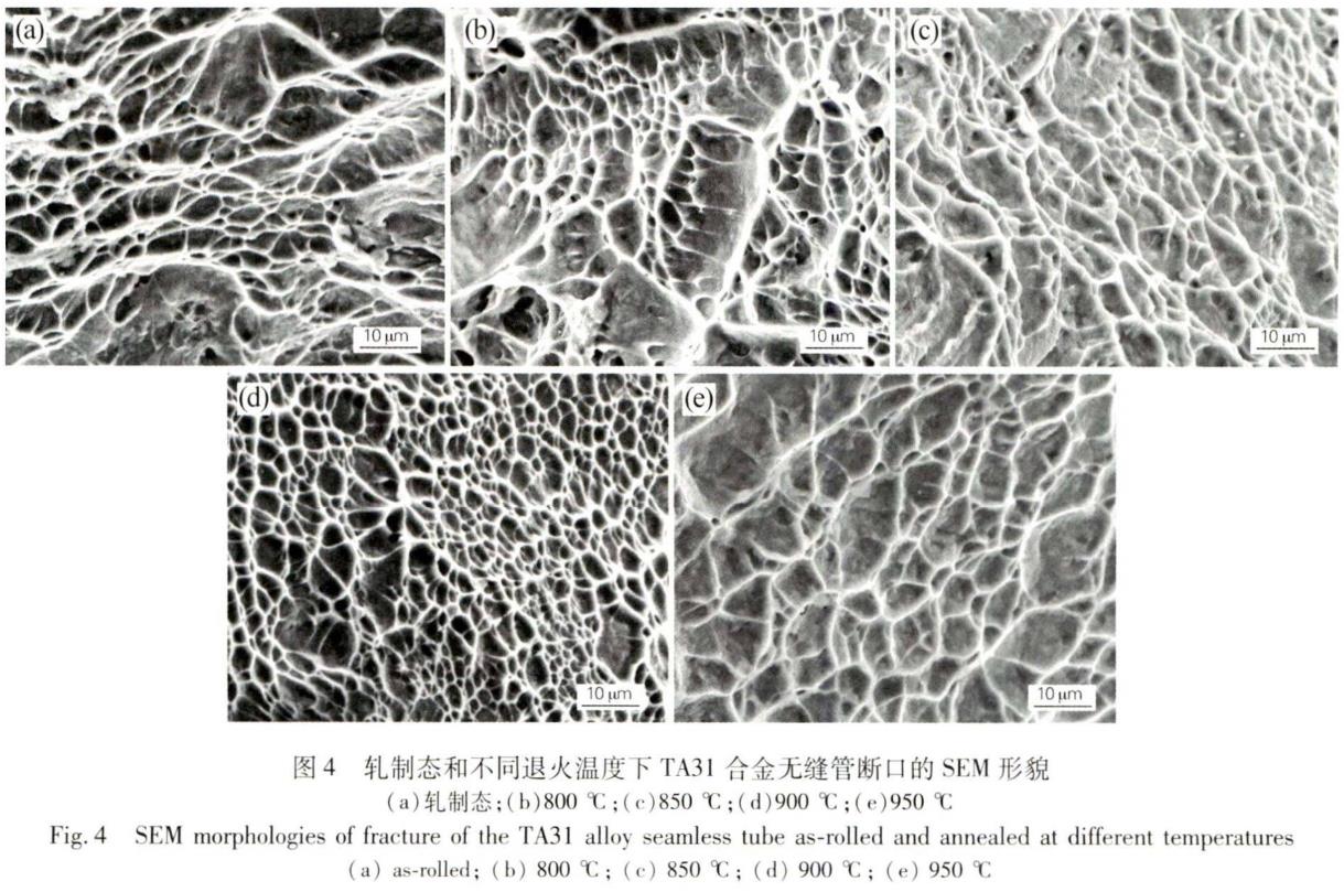 1695806547970271.jpg t4.jpg