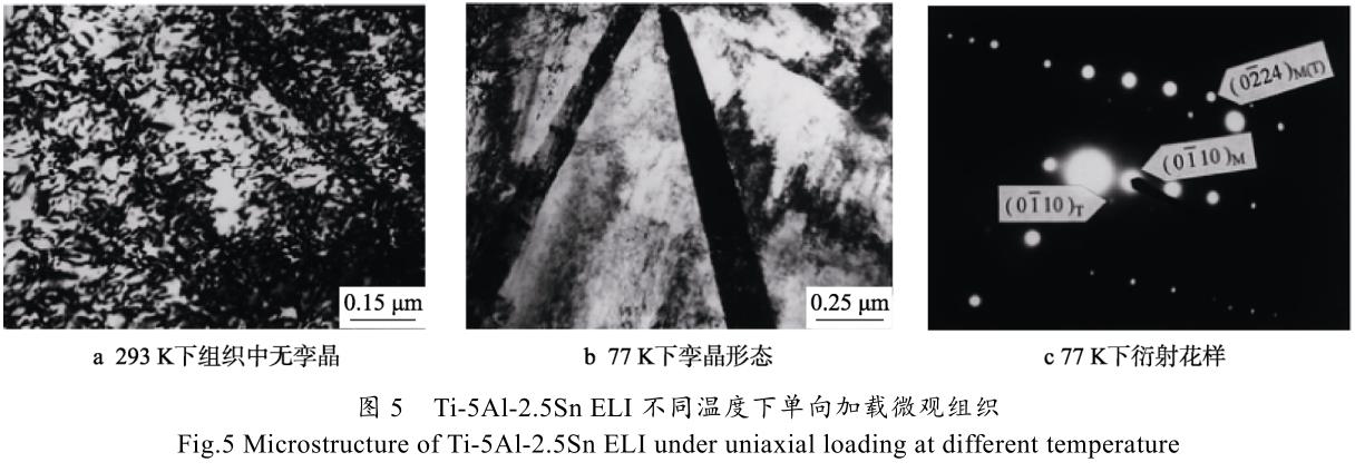 1699223130845743.jpg t5.jpg