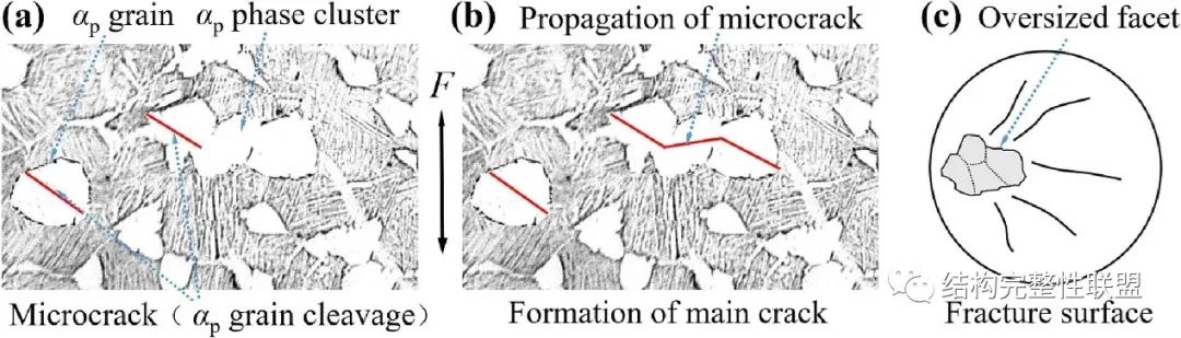 1699865561774721.jpg 4.jpg