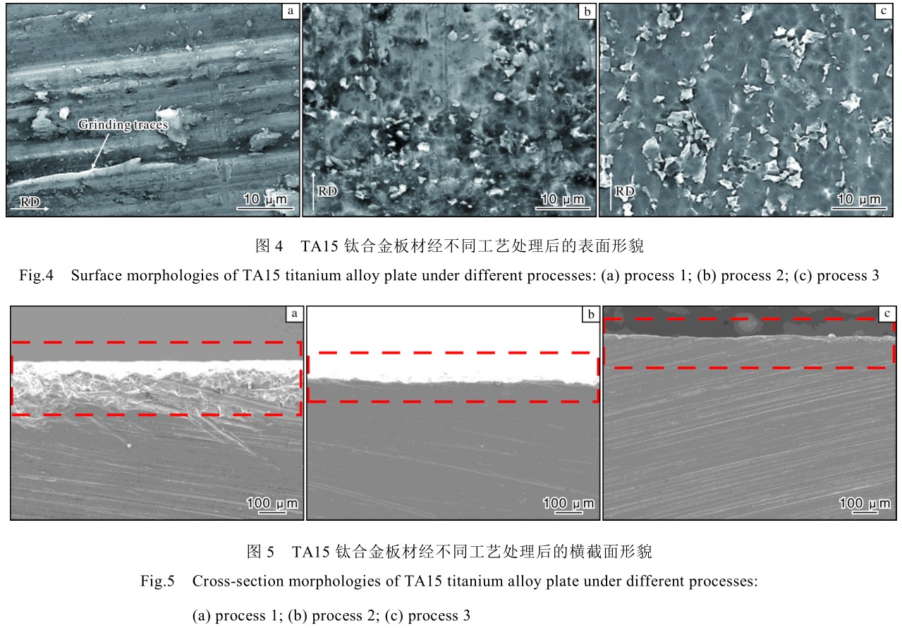 1704703157369648.jpg t4-5.jpg