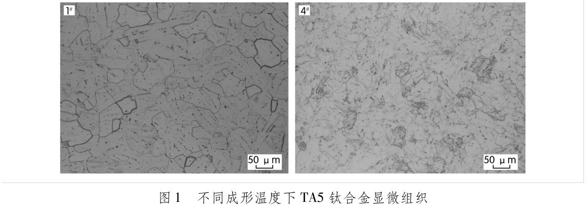 1705745137728858.jpg t1.jpg