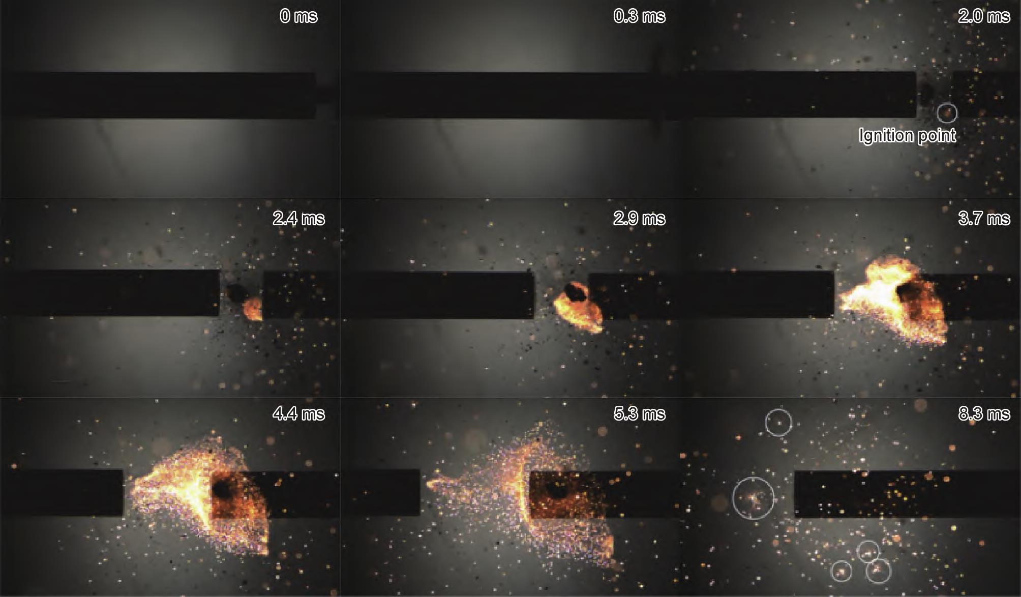 1710492500180002.jpg t1.jpg