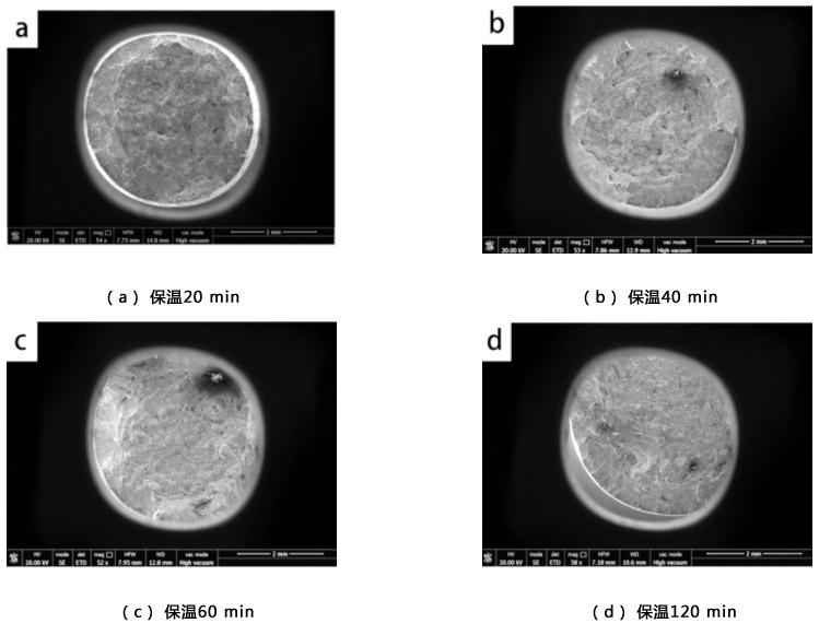 1712891809671364.jpg 6.jpg