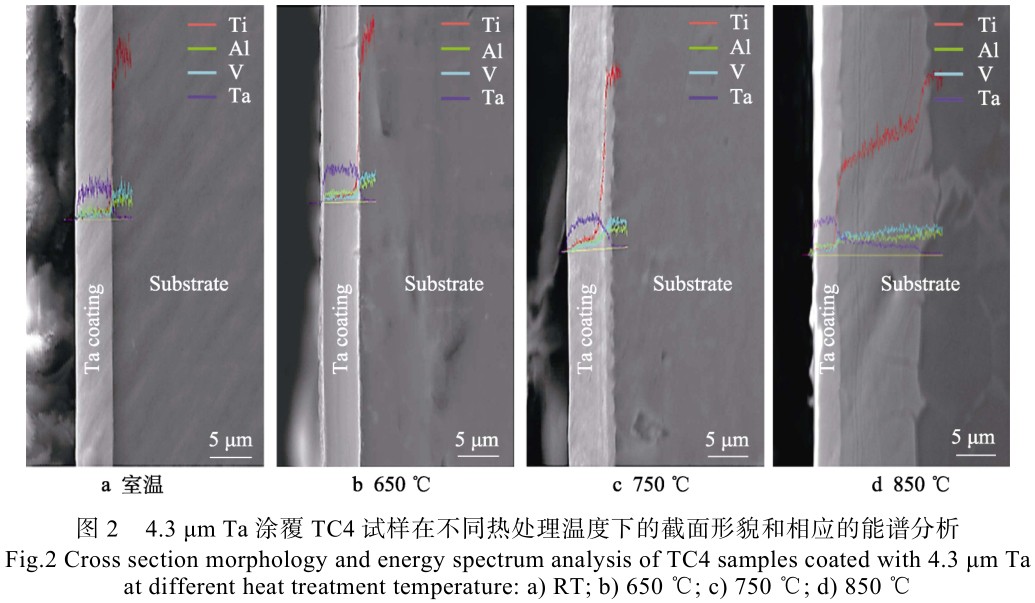 1715508143874218.jpg t2.jpg