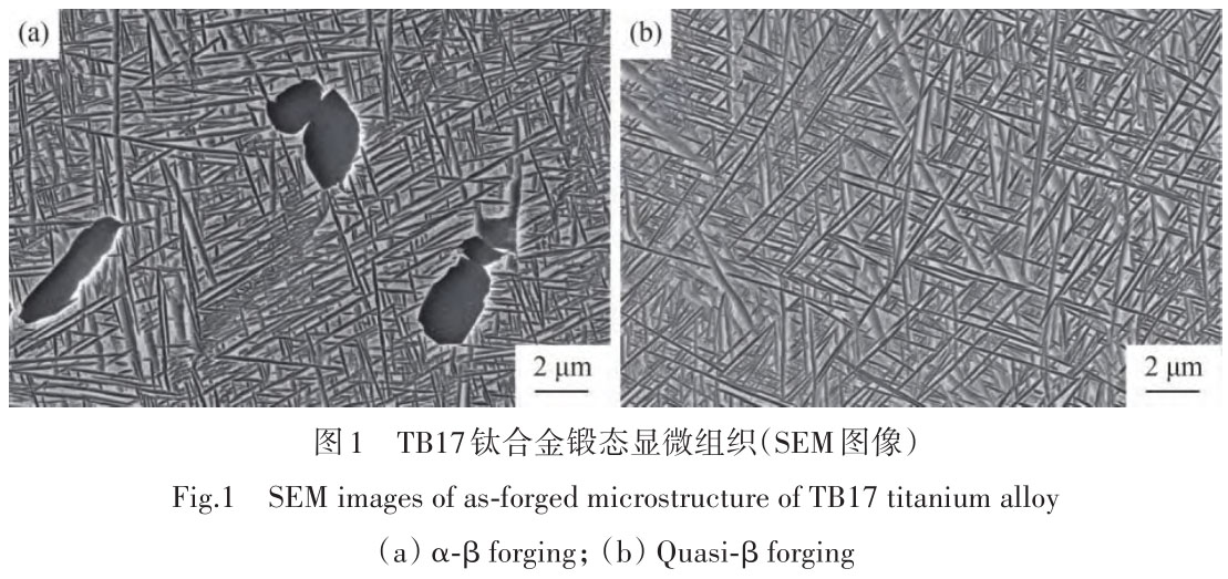 1716173638334068.jpg t1.jpg