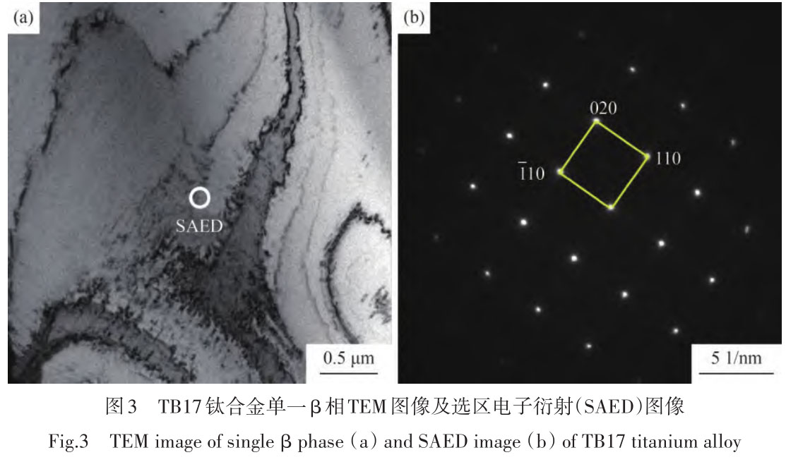 1716173674612291.jpg t3.jpg