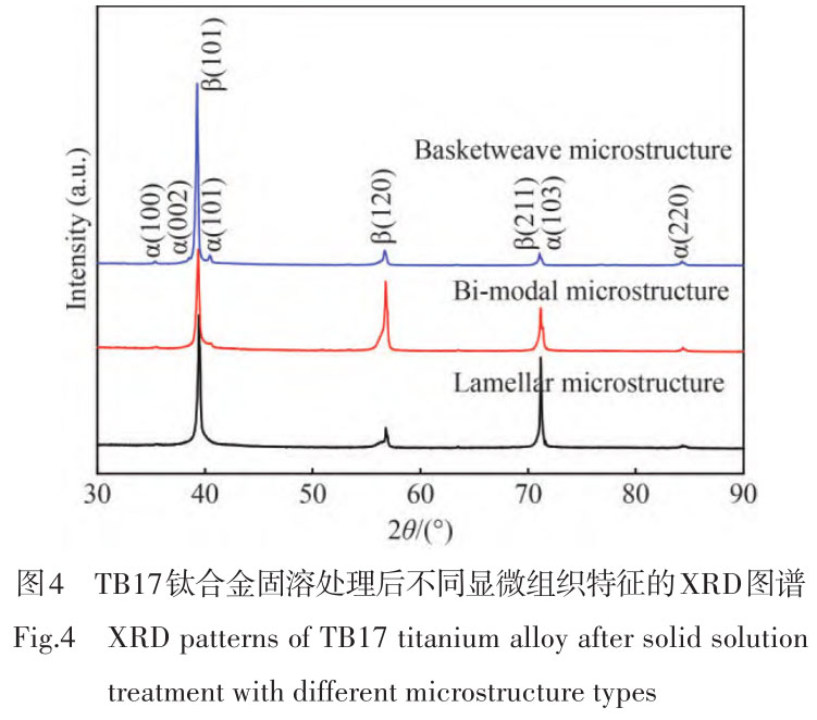 1716173684696047.jpg t4.jpg