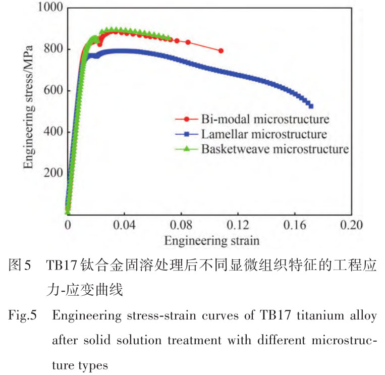 1716173726525327.jpg t5.jpg
