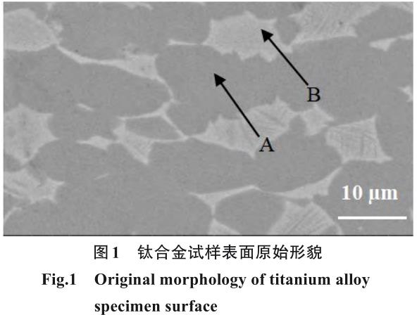 1722308255371054.jpg 360截圖16530715387450.jpg