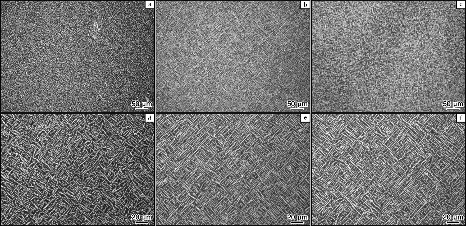 1725094393285090.jpg 4.jpg