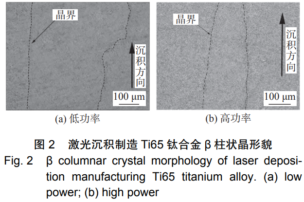 1731120009760508.png 2.png