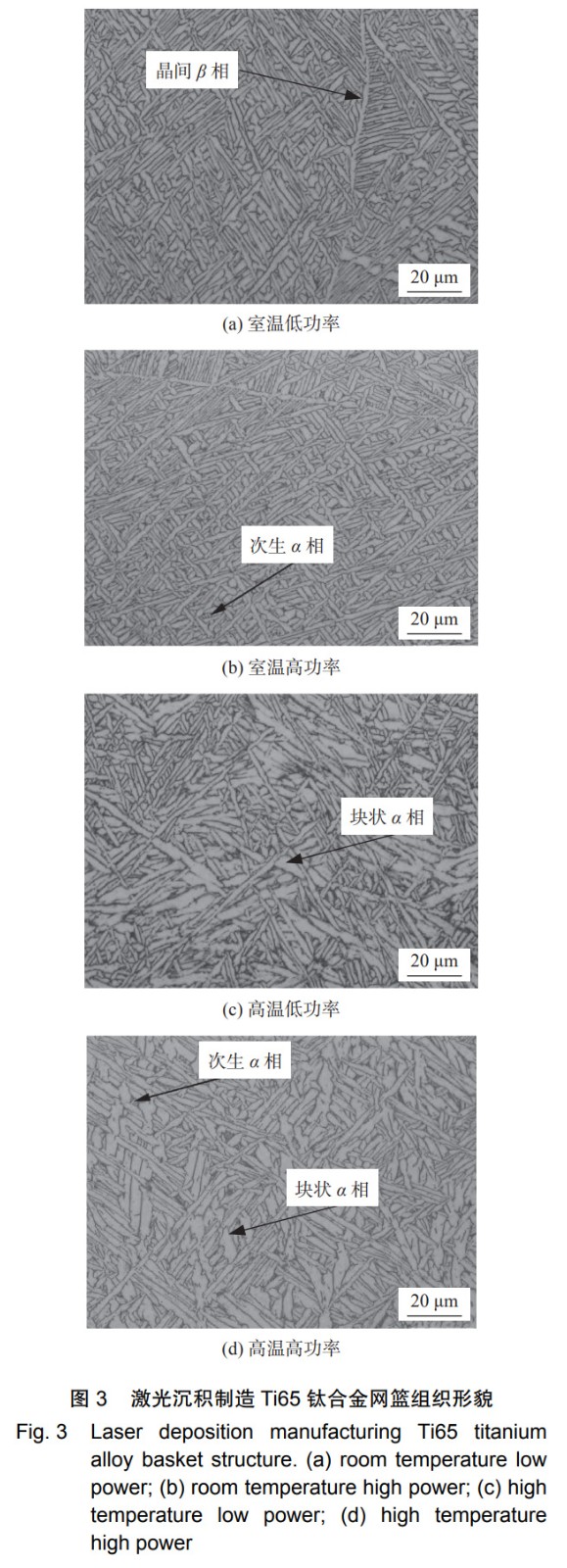 1731120017127460.jpg 3.jpg