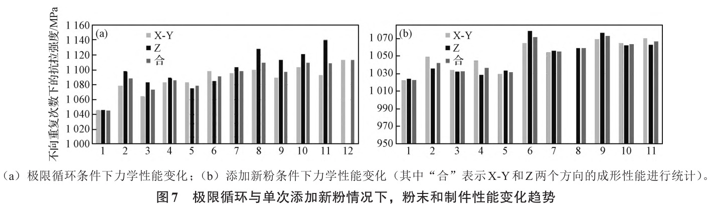 1735025149602552.jpg 7.jpg