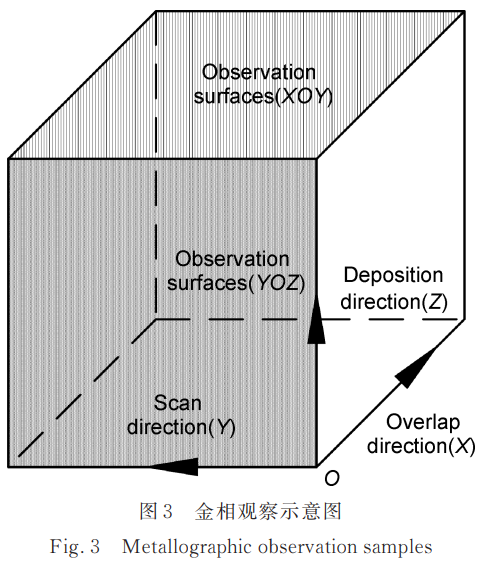 1743388823189139.png 截圖20250331103702.png
