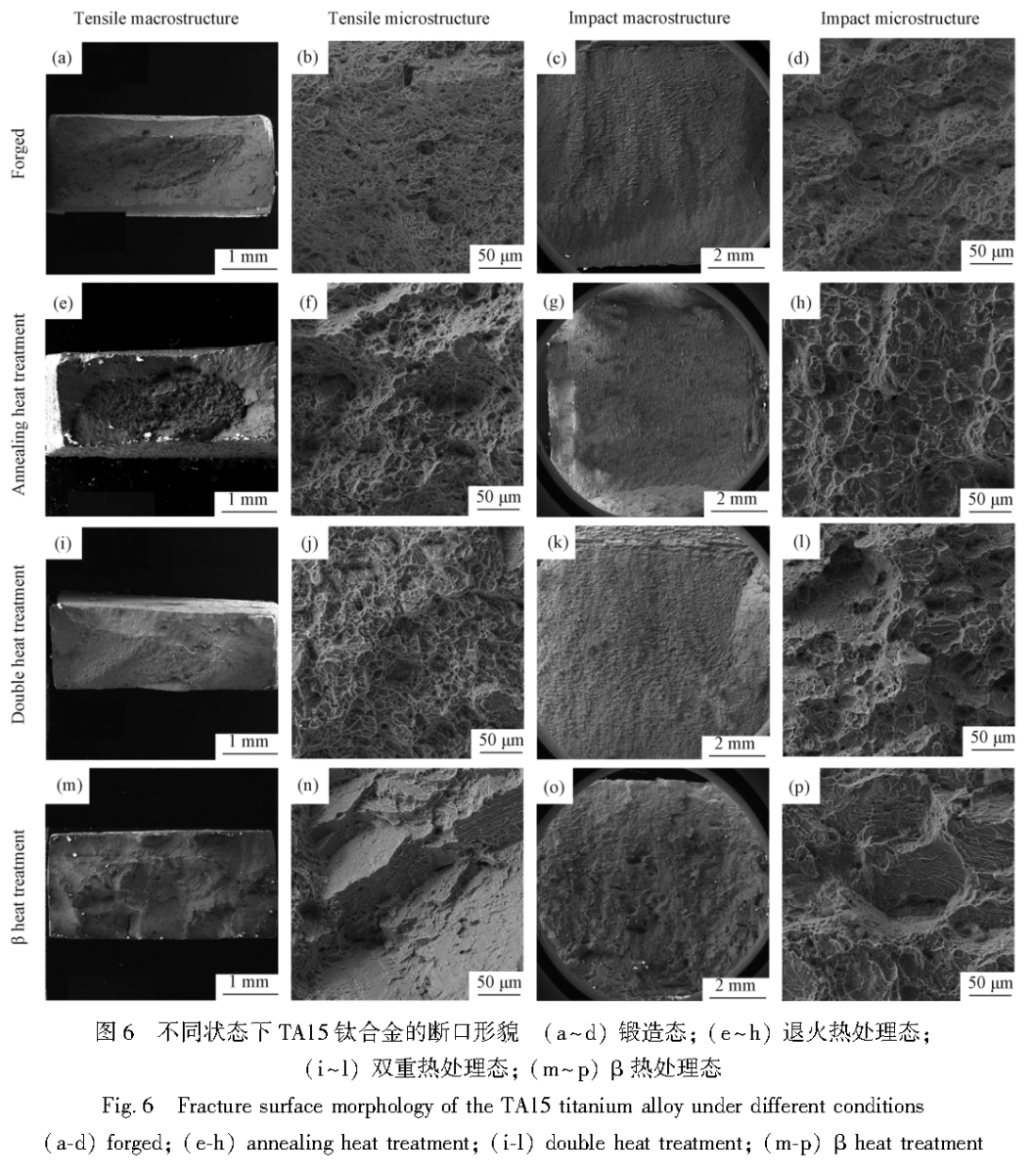 1752893840666644.png 6.png