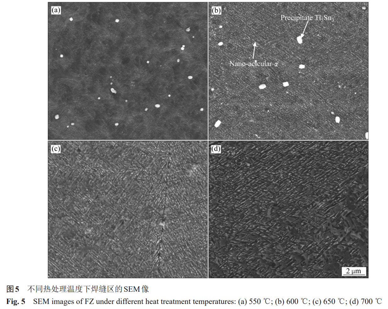 1758633528741085.jpg 未標題-4.jpg