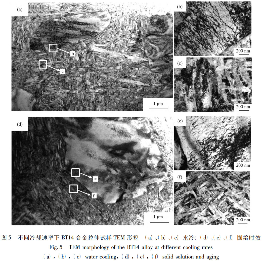 1760926137755335.jpg 未標(biāo)題-2.jpg